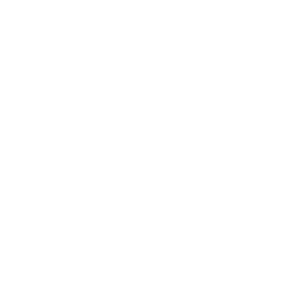 EU flag