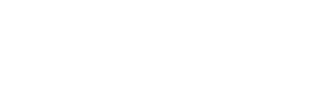 MARVIC logo