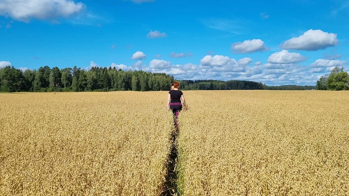 The Finnish Meteorological Institute studies the effect of fields on the climate