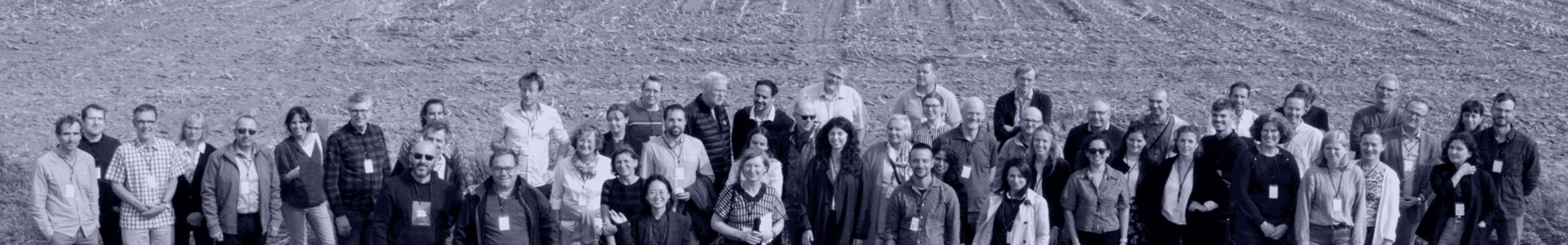 marvic partners