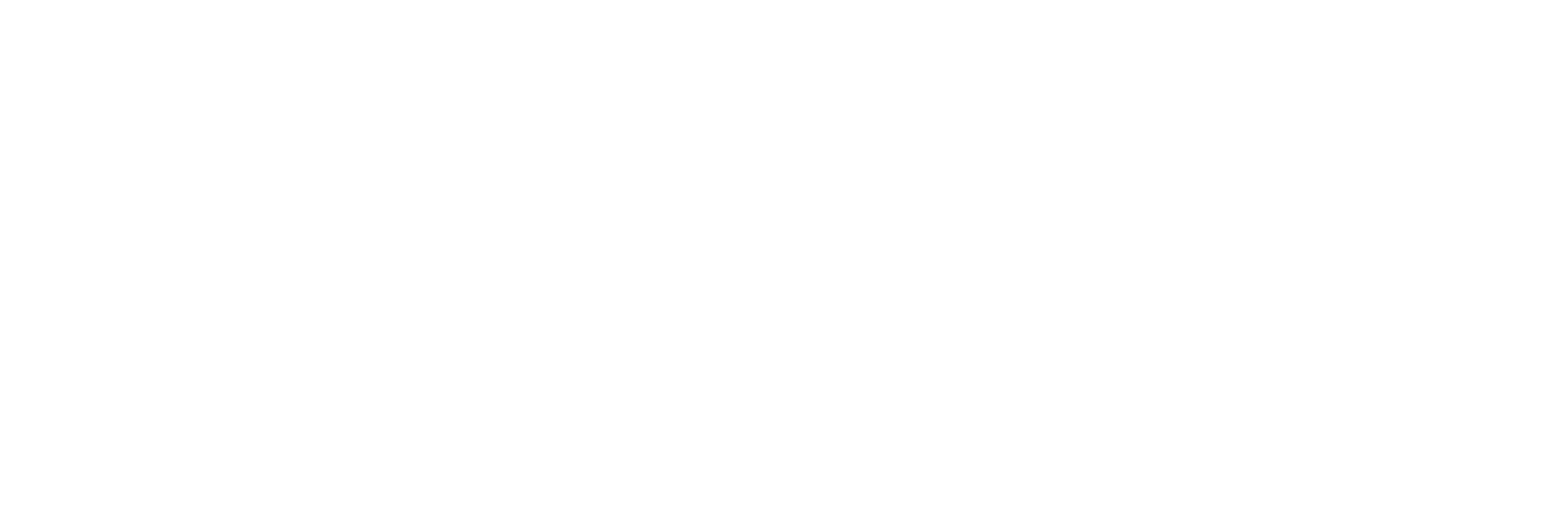 MARVIC logo